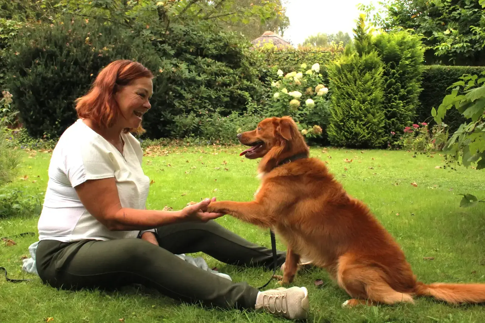 Groepslessen Hond in Harmonie