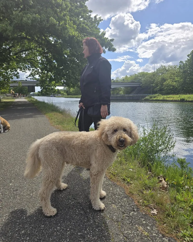 Hanneke met een hond aan de lijn langs het kanaal tijdens een groepsles