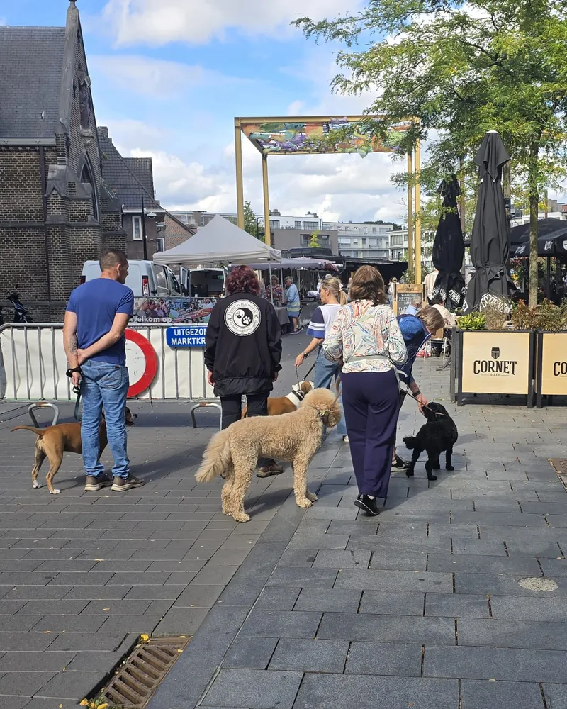 Hanneke met een groep baasjes en hun honden op de markt