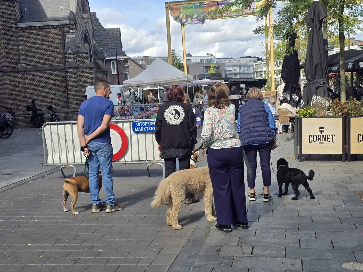 Hanneke en de groep met hun honden op de markt