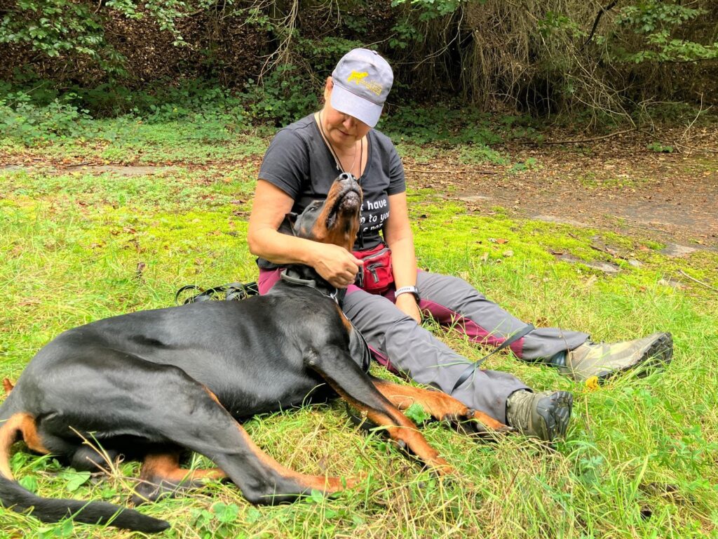 whatsapp image 2026 02 24 at 10.41.39